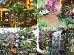 -正佳雨林生态植物园