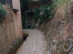 -杨家堂村