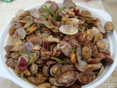 辣炒蛤蜊-海岛渔村大酒店(云霄路店)