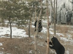 -太原动物园