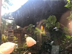 -天水蔬食料理(树德之光店)