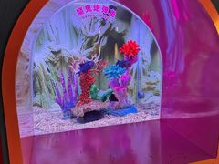 -秦皇岛新澳海底世界