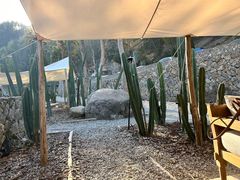 -MOJ coffee(瓯海泽雅水碓坑店)