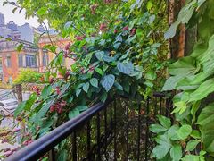 -西关84·History·Art·Cafe