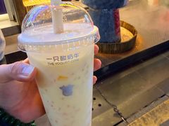 -一只酸奶牛(八一路店)