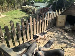 -HERRE·FARM 赫尔露营农场·团建聚会包场