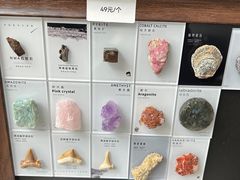 -北京周口店北京人遗址博物馆