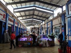 -山东柏宁水族批发广场