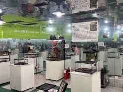 -神奇动物撸宠馆·羊驼·小浣熊·异宠(豫园店)