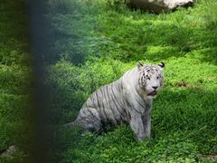 -西安秦岭野生动物园