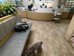 -美联众合动物医院·24h转诊中心