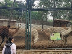 -大连森林动物园