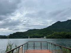 -逸廊大堂吧-下午茶·简餐-千岛湖自由洲际殿