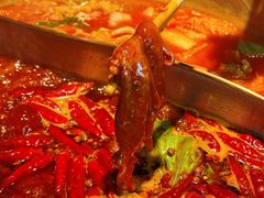-小龙坎火锅(全球总店)