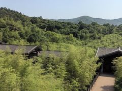 -大唐贡茶院