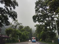 -Sultan pakistan苏单巴基斯坦