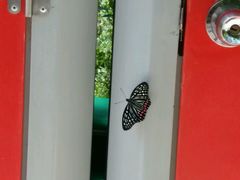 -南京金牛湖风景区