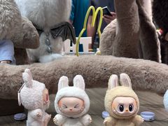 -泡泡玛特POPMART(合生汇店)