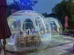 -上海崇明金茂凯悦酒店