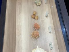 -广东惠东海龟国家级自然保护区
