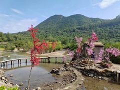 -鹿嘴山庄