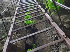 -玉泉威虎山森林公园