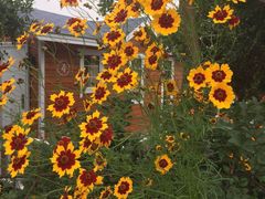 -武汉紫薇都市田园