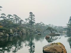 -罗红摄影艺术馆