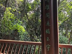 -杭州半山国家森林公园