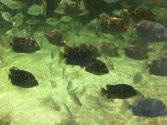 -福州罗源湾海洋世界旅游区