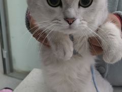 -心仪动物医院·牙专科·肿瘤·心脏科(西客站院)