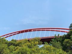 -金鸡山公园