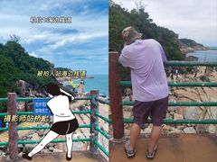 -广东惠东海龟国家级自然保护区