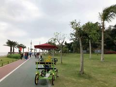 -野狸岛