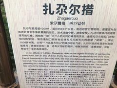 -莲宝叶则景区