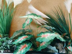 -九孔·筒骨莲藕汤锅(大明宫万达店)