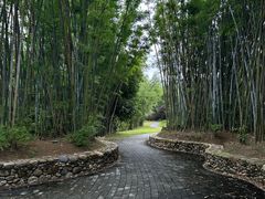 -水底山庄园温泉