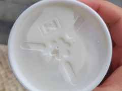 -洪馨椰子