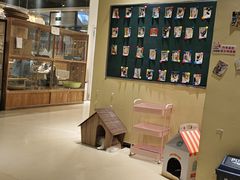 -藏猫猫咖啡主题馆(中央大道店)