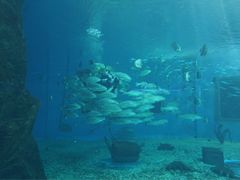 -北戴河圣蓝海洋公园