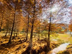 -南京市无想山景区