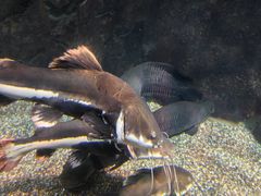 -太平洋海底世界