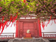 -西安青龙寺遗址景区