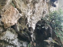 -马岭河峡谷风景区