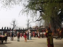 -大槐树寻根祭祖园