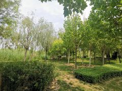 -武清南湖绿博园