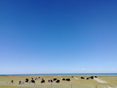 -青海湖国家重点风景名胜区