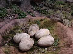 -湖南省地质博物馆