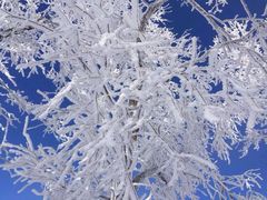 -中旅松花湖滑雪场