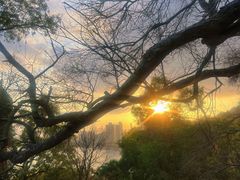 -彳亍咖啡·这里(水湾路店)